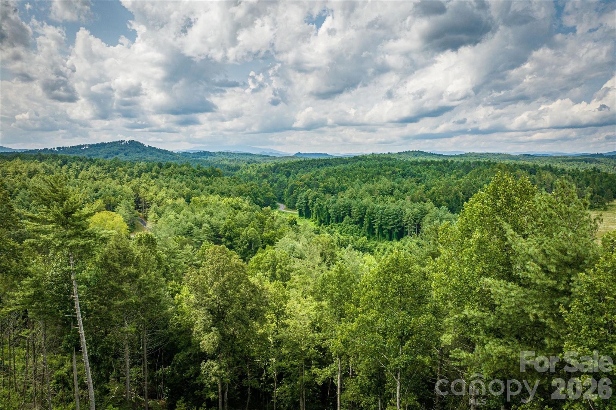 2070 Thoroughbred Way, Unit G18 Apex, NC 27523 - Photo 9 of 11 a view of a bunch of trees