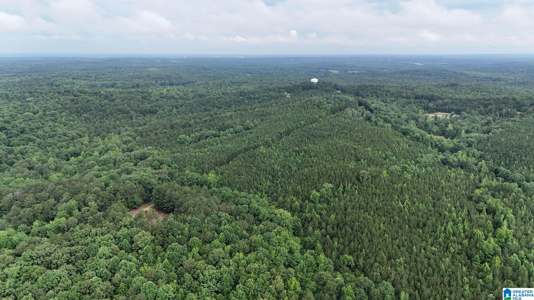 0 Skyview Lake Road Cottondale, AL 35453 - Photo 21 of 22