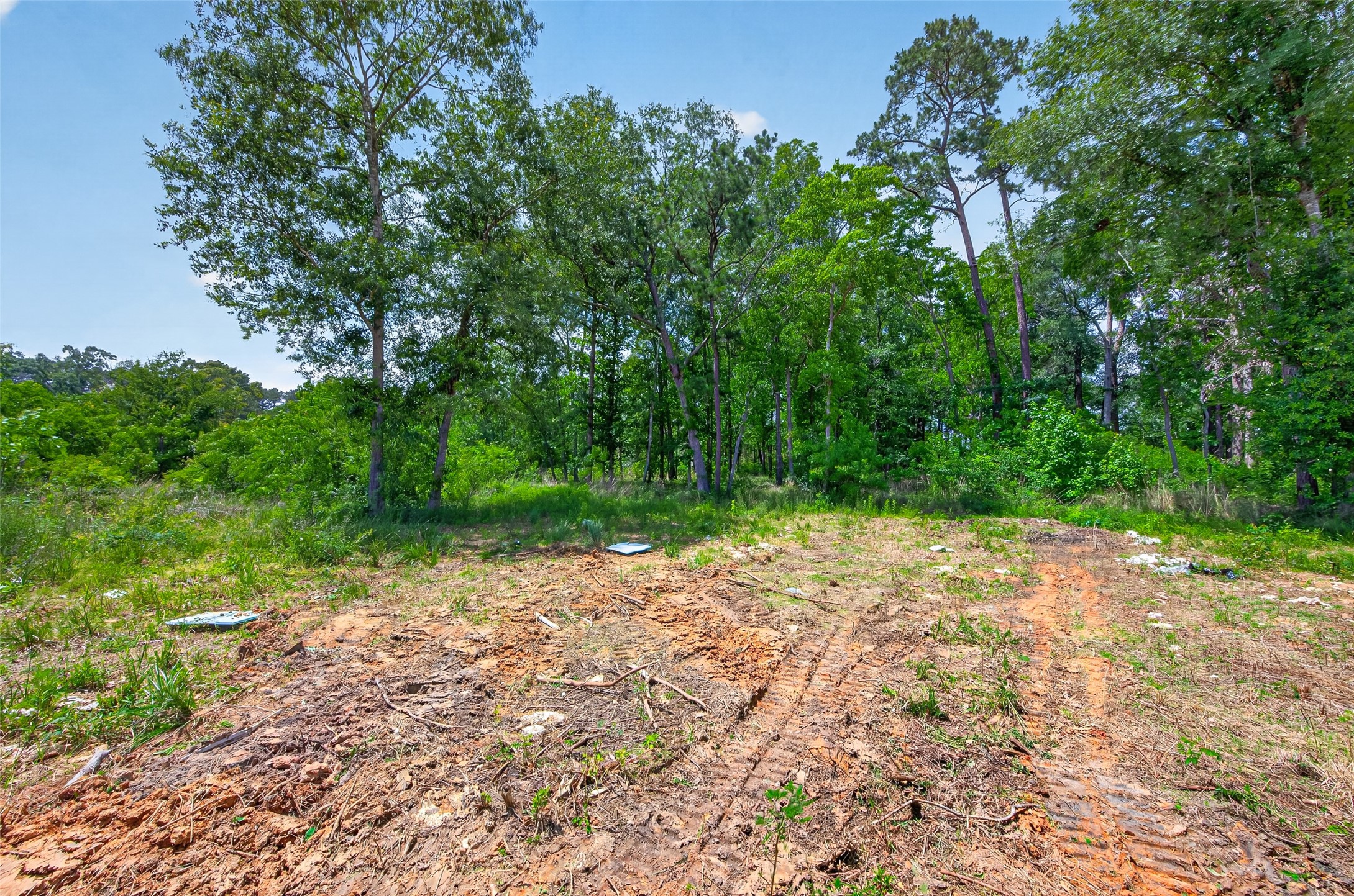 16497 Highline Boulevard Conroe, TX 77306 - Photo 25 of 46