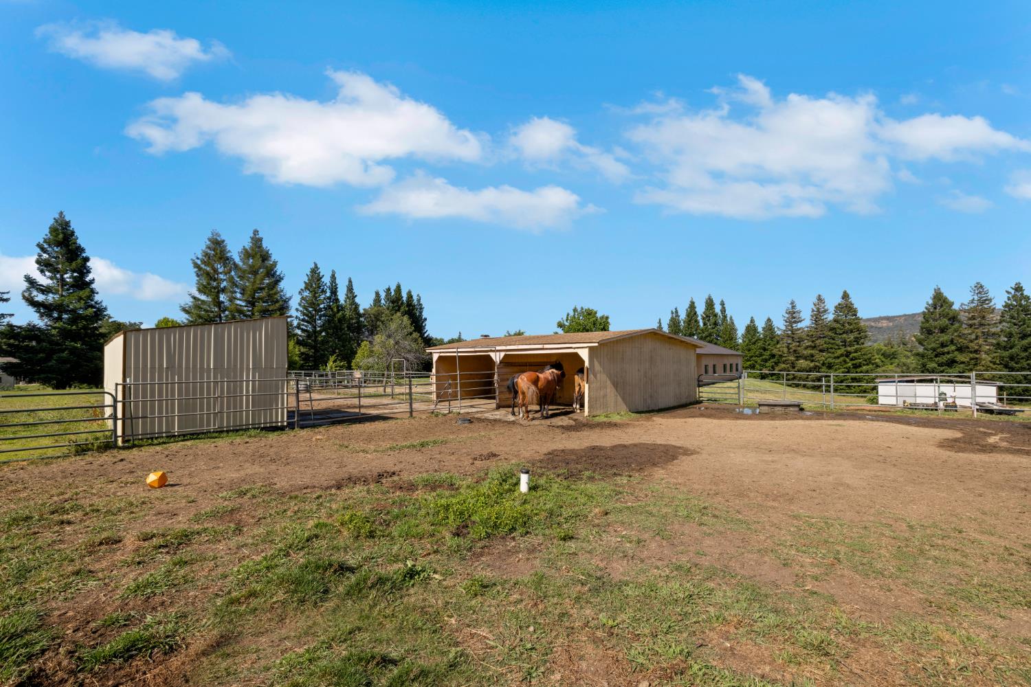 3350 Rattlesnake Road Newcastle, CA 95658 - Photo 59 of 63