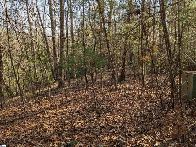 $110,000 | 0 Sourwood Bench Court, Salem, SC 29676