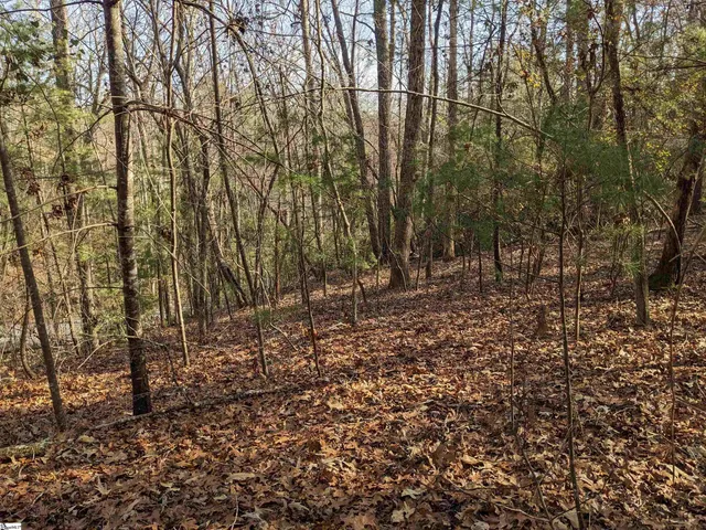 $110,000 | 0 Sourwood Bench Court, Salem, SC 29676