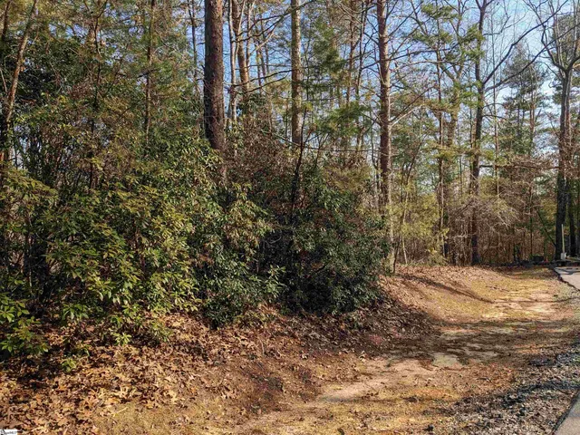 $110,000 | 0 Sourwood Bench Court, Salem, SC 29676