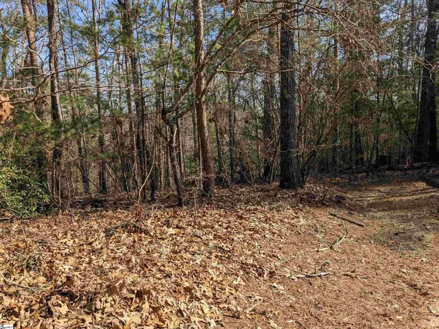 $110,000 | 0 Sourwood Bench Court, Salem, SC 29676