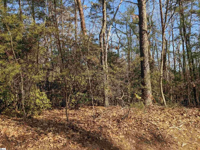 $110,000 | 0 Sourwood Bench Court, Salem, SC 29676