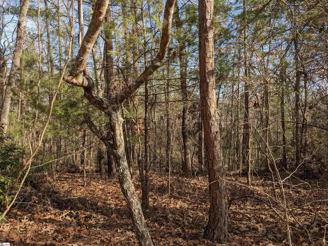 $110,000 | 0 Sourwood Bench Court, Salem, SC 29676