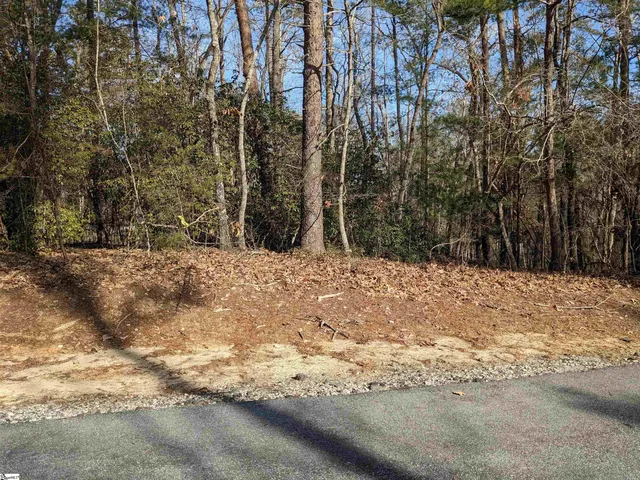 $110,000 | 0 Sourwood Bench Court, Salem, SC 29676