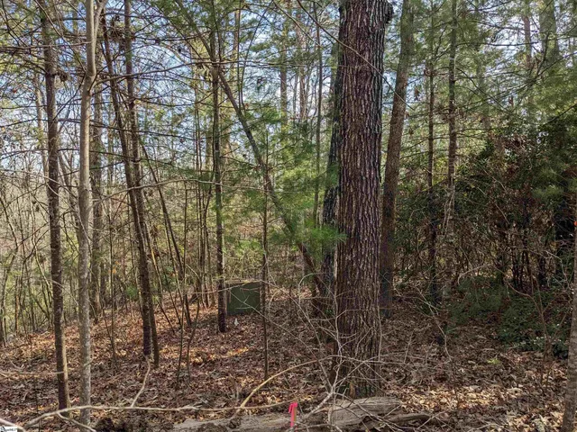 $110,000 | 0 Sourwood Bench Court, Salem, SC 29676