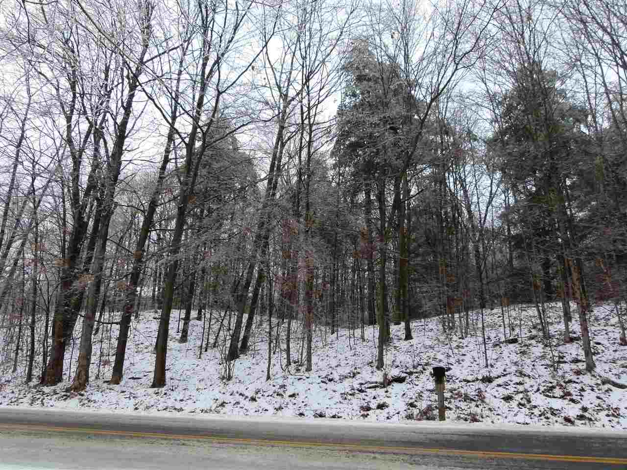 0 Cider Mill Road Cornwall, VT 05753 - Photo 1 of 1