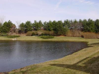 17666 Woodbridge Road Spring Lake, MI 49456 - Photo 5 of 6 Additional Photo