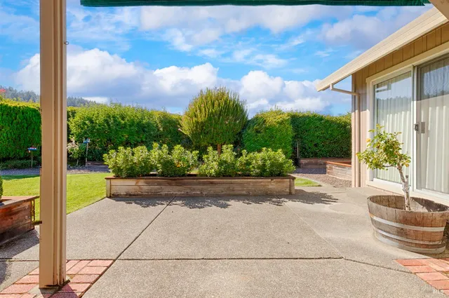 a view of a park with large trees