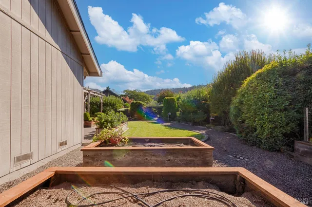 a view of a garden with plants and a large tree