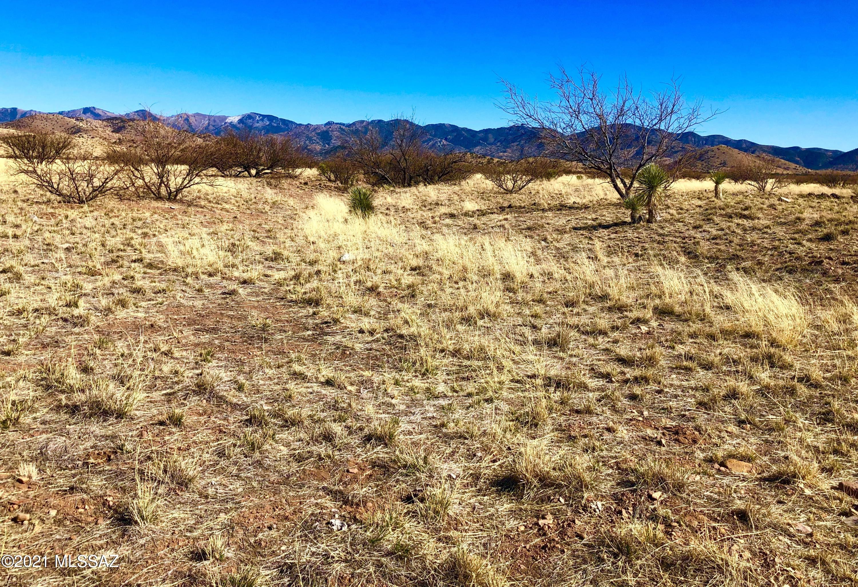 40.16 Ac Pearce, AZ 85625 - Photo 32 of 50