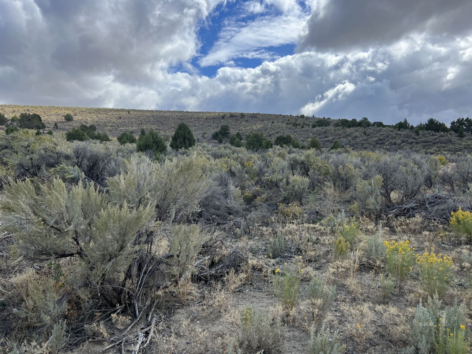412 Murdoch Way Elko, NV 89801 - Photo 1 of 4