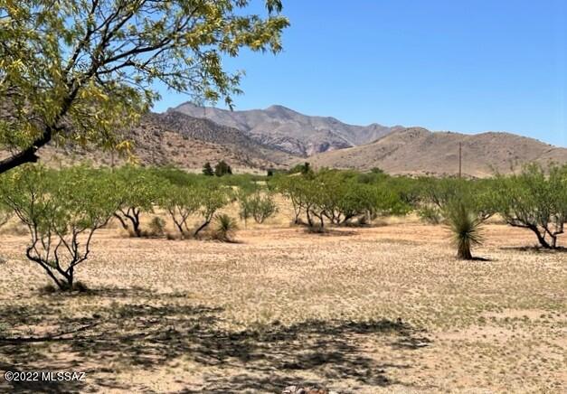 650 West Pearce Road Pearce, AZ 85625 - Photo 11 of 50 Gallery Image 11