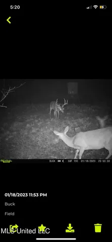 $699,000 | 760 Old Hwy Road, Crenshaw, MS 38621