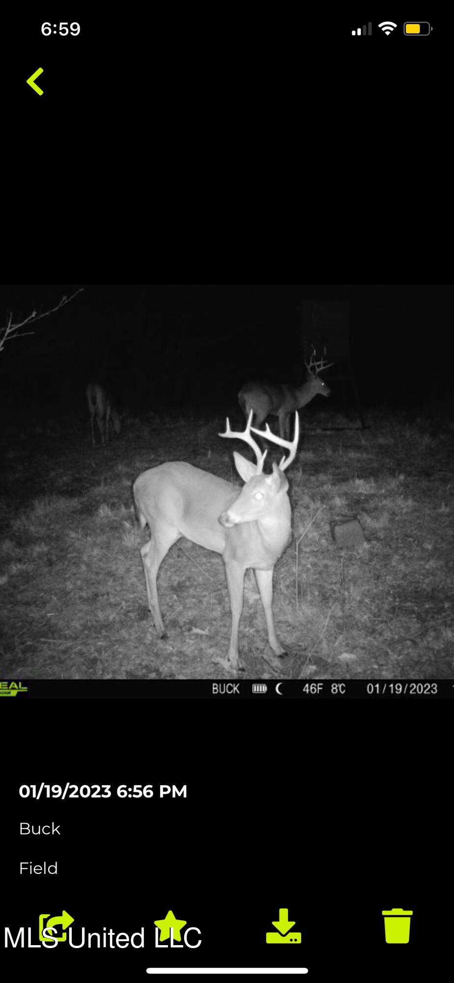 760 Old Hwy Road Crenshaw, MS 38621 - Photo 12 of 57 IMG_4395 (1)