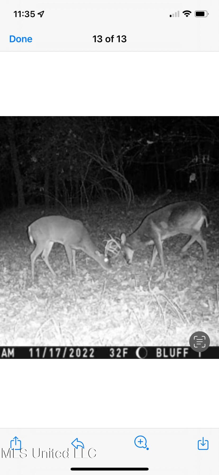 760 Old Hwy Road Crenshaw, MS 38621 - Photo 14 of 57 IMG_4222