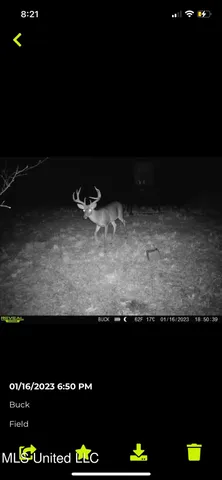 $699,000 | 760 Old Hwy Road, Crenshaw, MS 38621