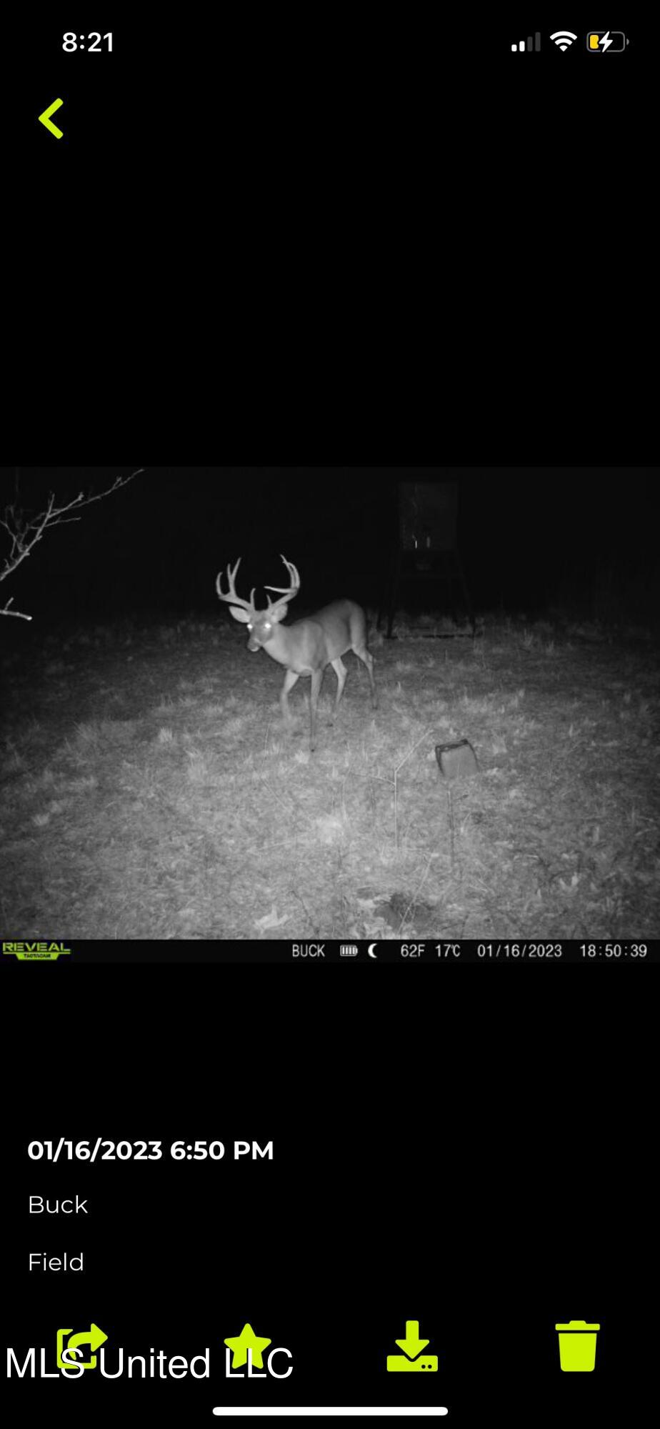 760 Old Hwy Road Crenshaw, MS 38621 - Photo 15 of 57 IMG_4364