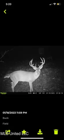 $699,000 | 760 Old Hwy Road, Crenshaw, MS 38621