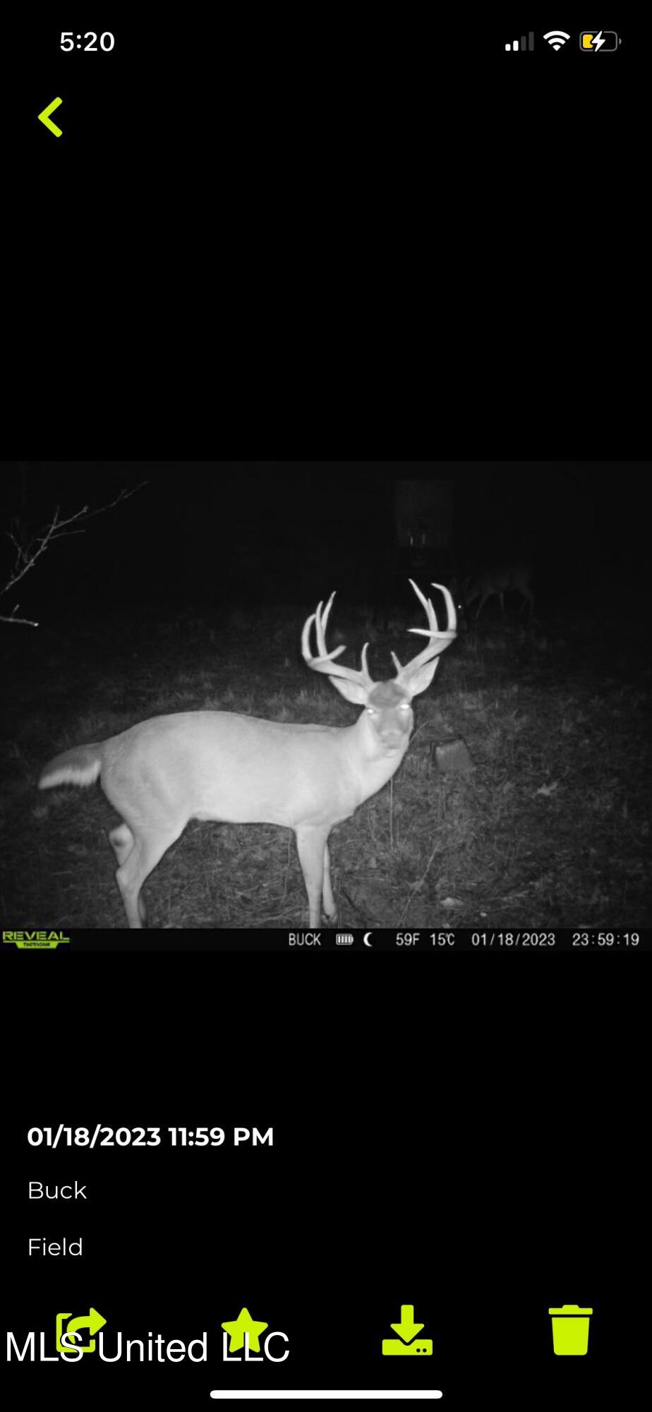 760 Old Hwy Road Crenshaw, MS 38621 - Photo 16 of 57 IMG_4389