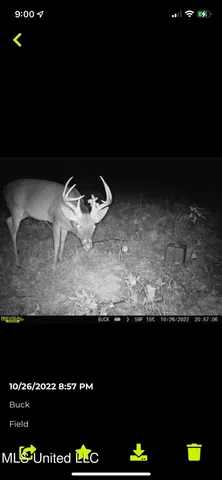 $699,000 | 760 Old Hwy Road, Crenshaw, MS 38621