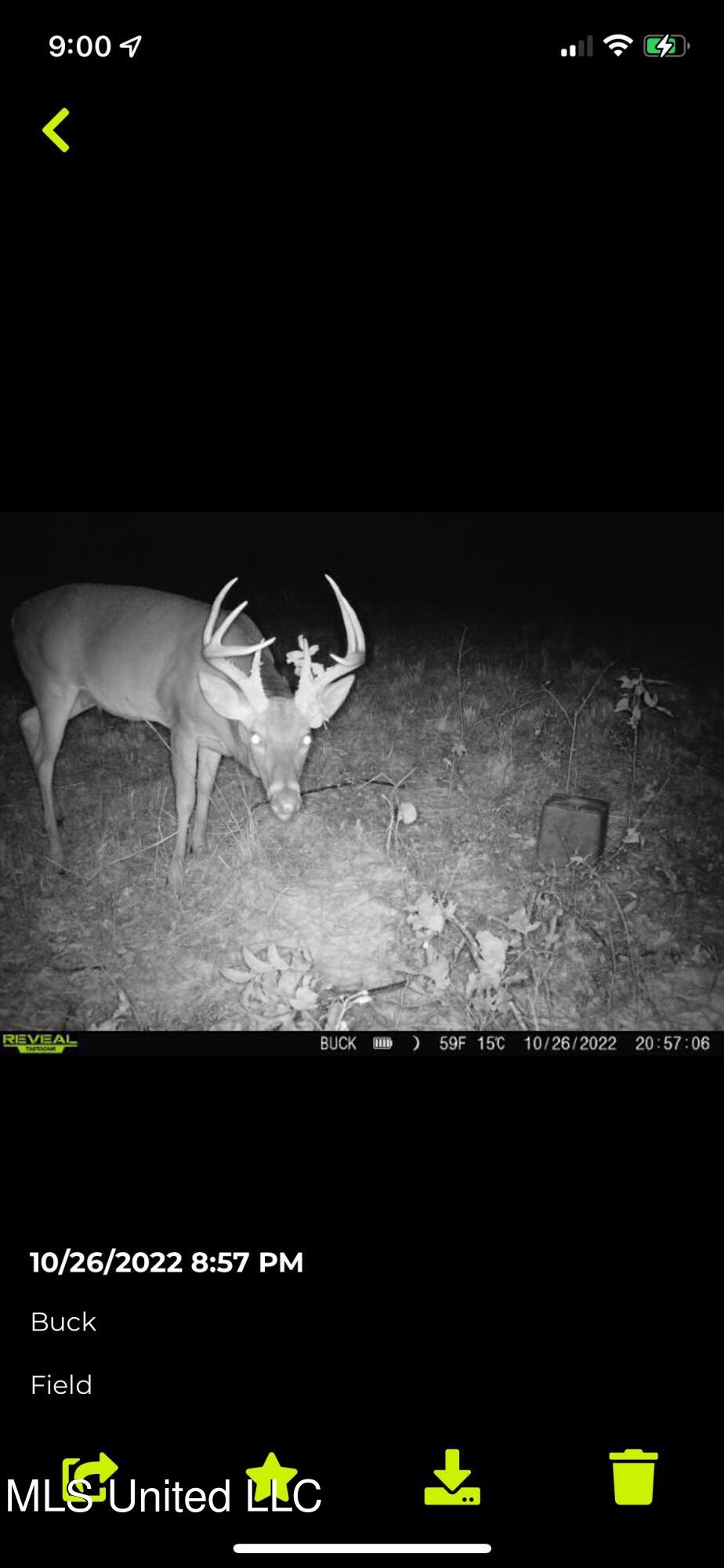 760 Old Hwy Road Crenshaw, MS 38621 - Photo 17 of 57 IMG_4155