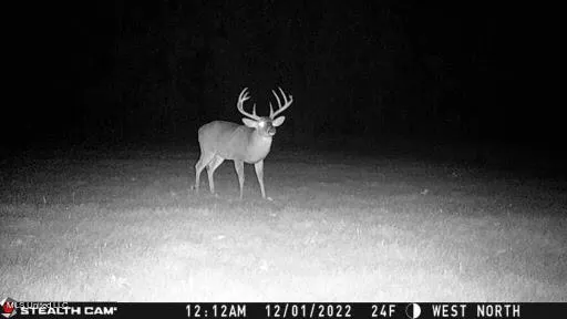 $699,000 | 760 Old Hwy Road, Crenshaw, MS 38621