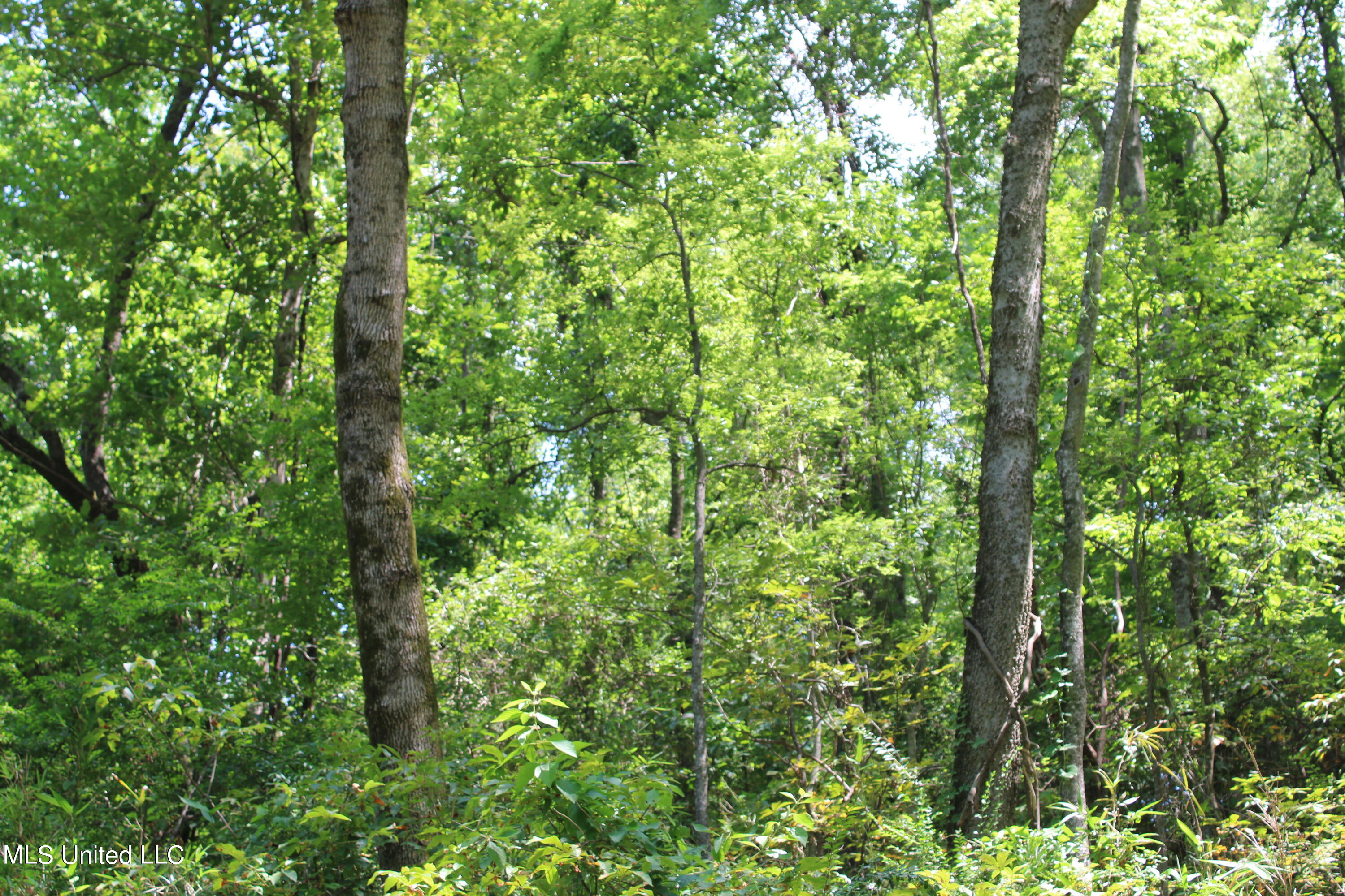 760 Old Hwy Road Crenshaw, MS 38621 - Photo 20 of 57 IMG_1512