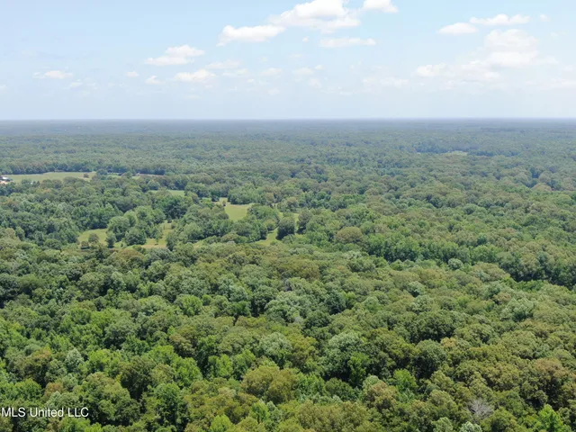 $699,000 | 760 Old Hwy Road, Crenshaw, MS 38621