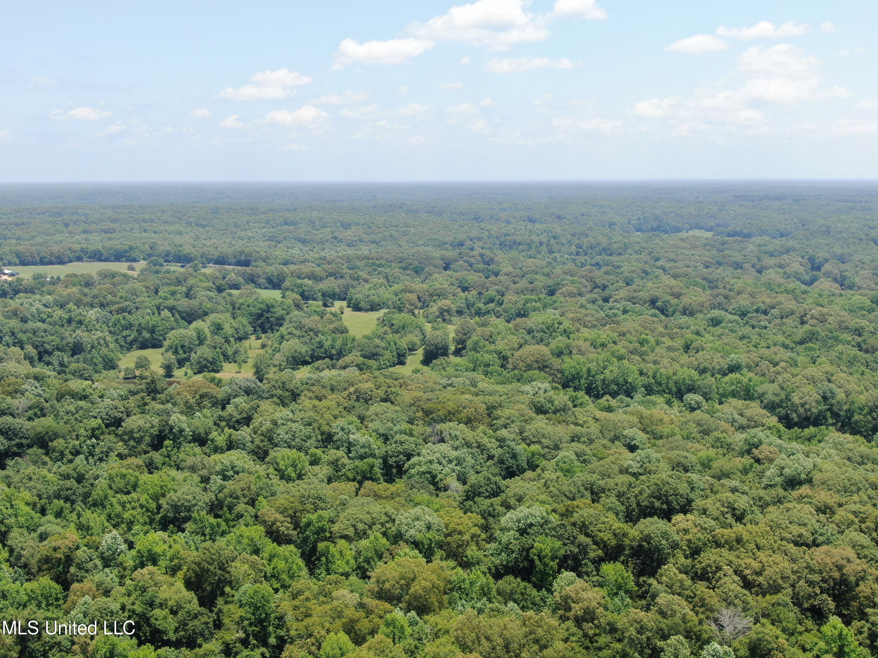 760 Old Hwy Road Crenshaw, MS 38621 - Photo 2 of 57 DJI_0880