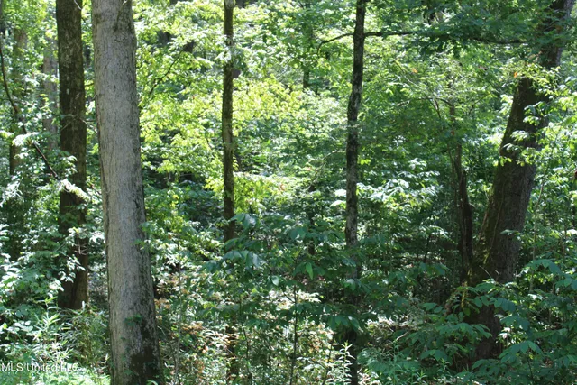 $699,000 | 760 Old Hwy Road, Crenshaw, MS 38621