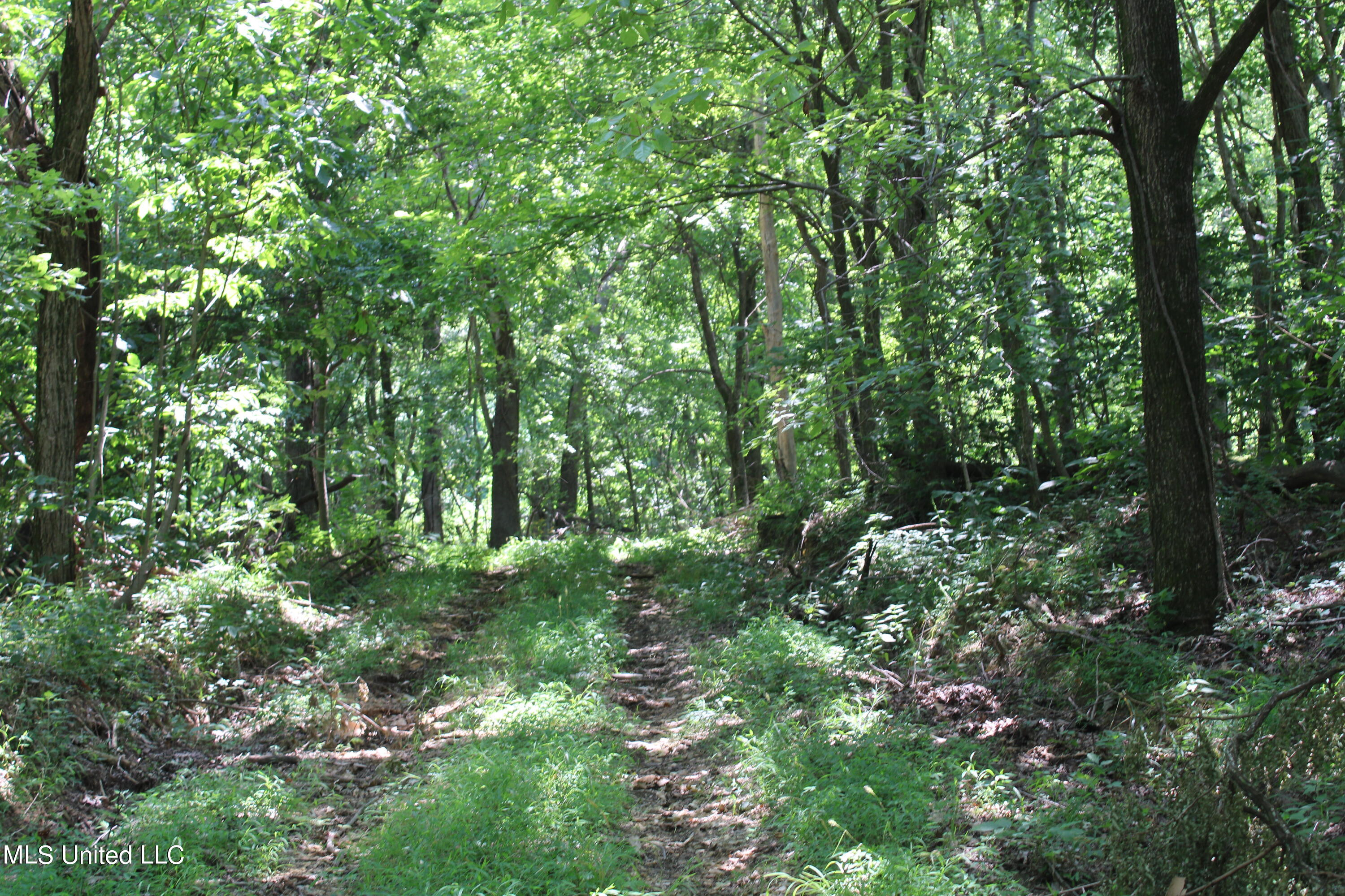 760 Old Hwy Road Crenshaw, MS 38621 - Photo 22 of 57 IMG_1514