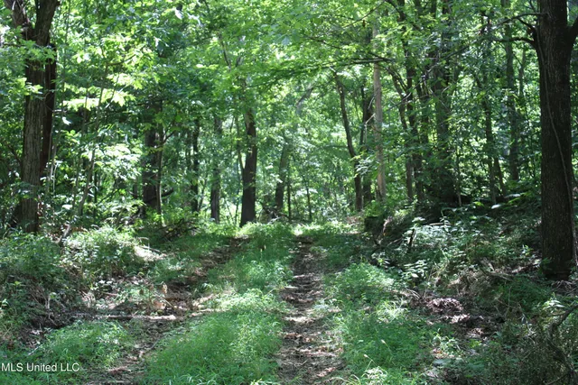 $699,000 | 760 Old Hwy Road, Crenshaw, MS 38621