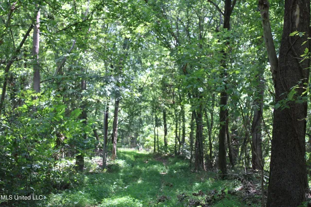 $699,000 | 760 Old Hwy Road, Crenshaw, MS 38621