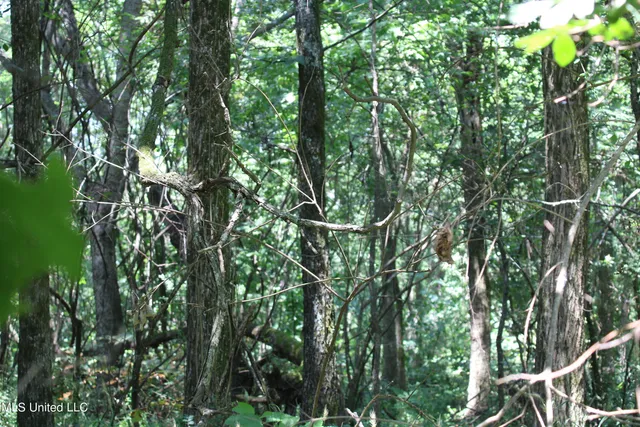 $699,000 | 760 Old Hwy Road, Crenshaw, MS 38621