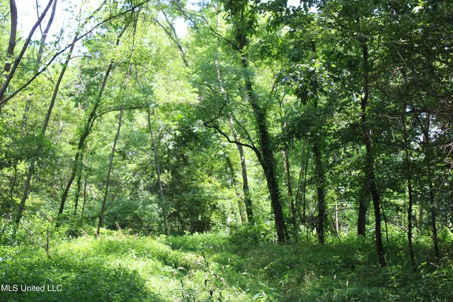 $699,000 | 760 Old Hwy Road, Crenshaw, MS 38621