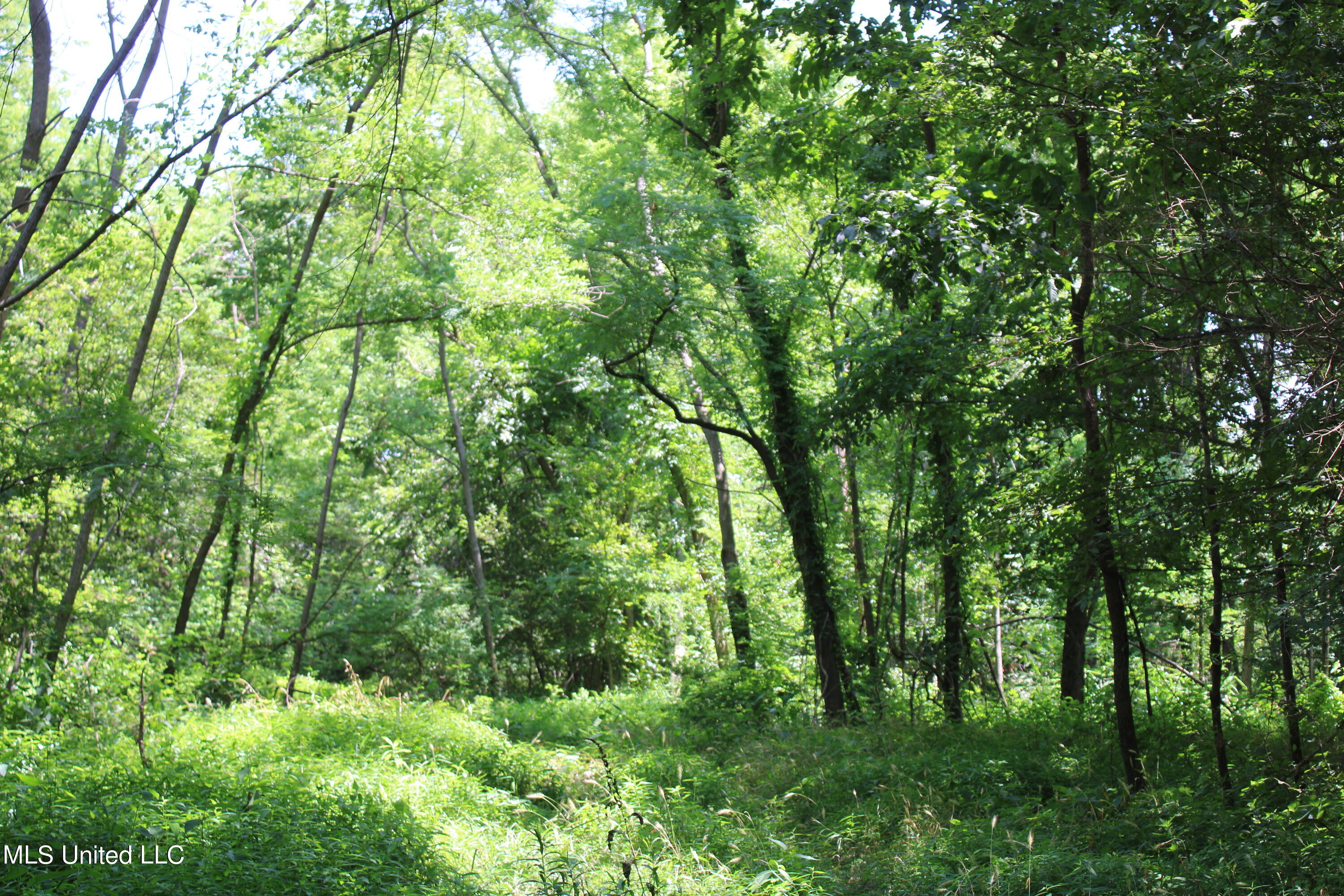 760 Old Hwy Road Crenshaw, MS 38621 - Photo 27 of 57 IMG_1519