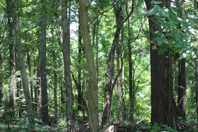 $699,000 | 760 Old Hwy Road, Crenshaw, MS 38621