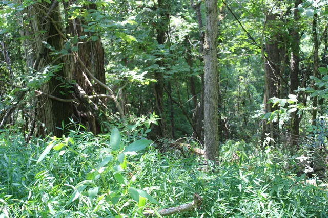 $699,000 | 760 Old Hwy Road, Crenshaw, MS 38621