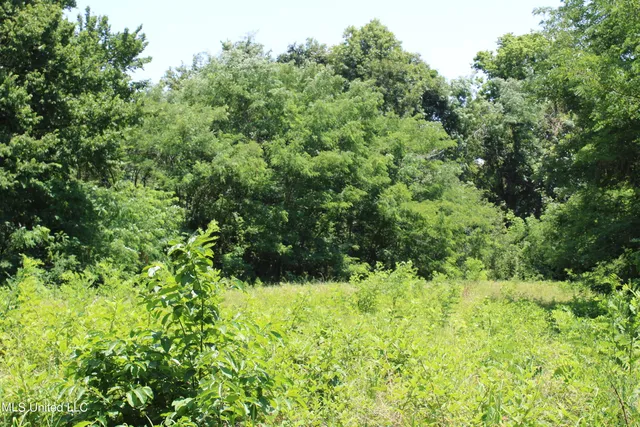 $699,000 | 760 Old Hwy Road, Crenshaw, MS 38621