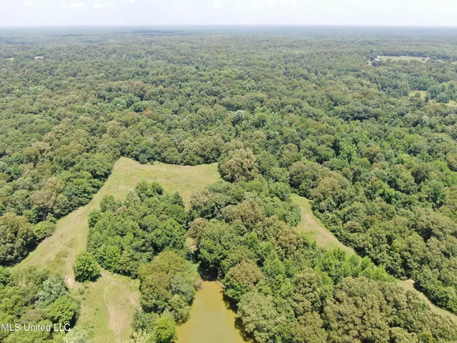 $699,000 | 760 Old Hwy Road, Crenshaw, MS 38621