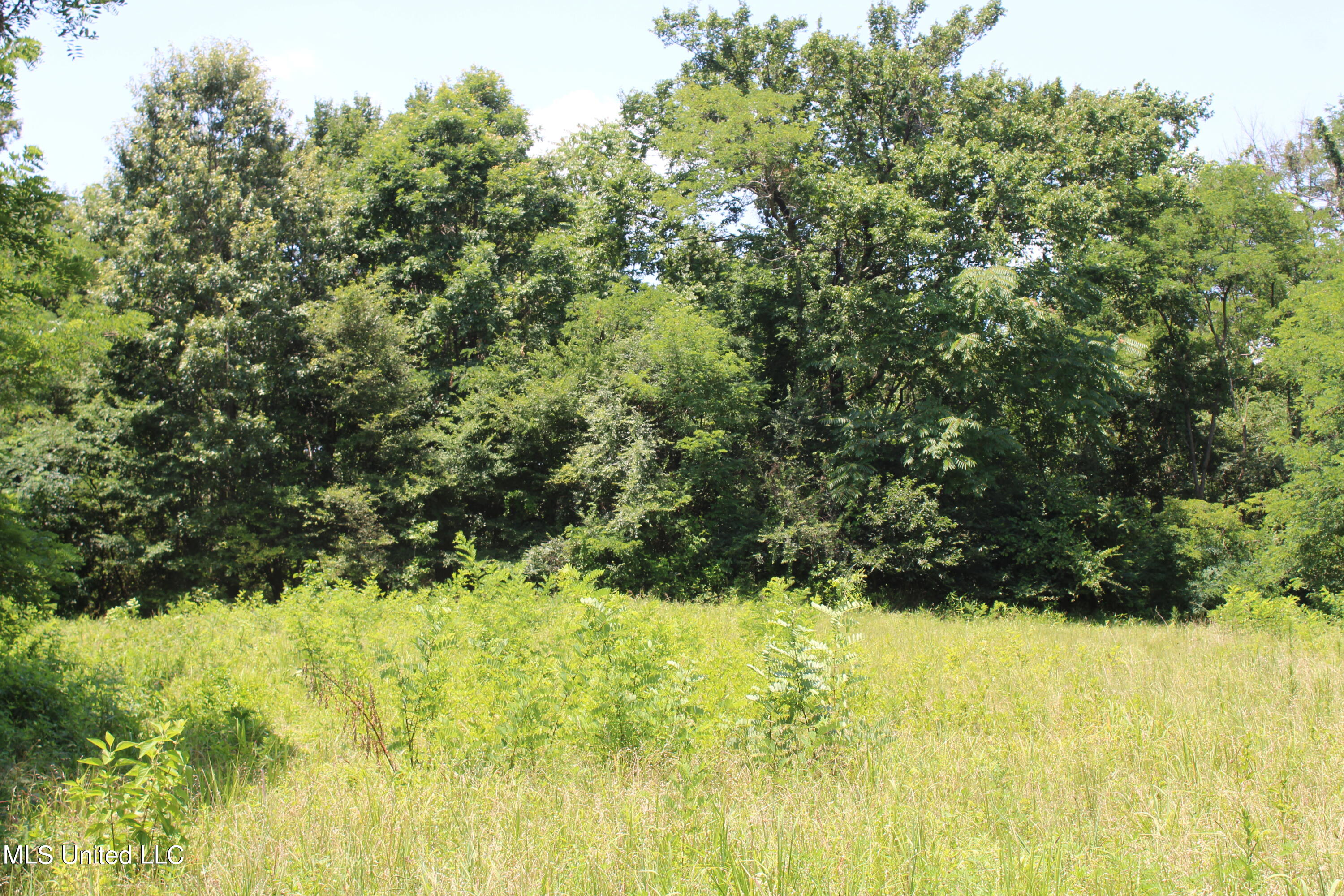 760 Old Hwy Road Crenshaw, MS 38621 - Photo 31 of 57 IMG_1523