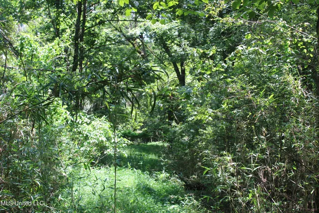 $699,000 | 760 Old Hwy Road, Crenshaw, MS 38621