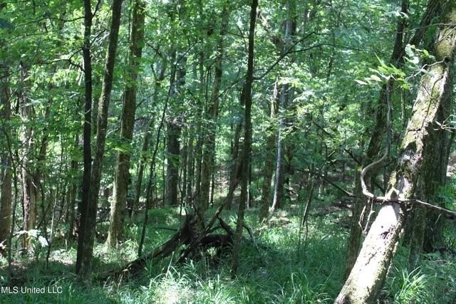 $699,000 | 760 Old Hwy Road, Crenshaw, MS 38621