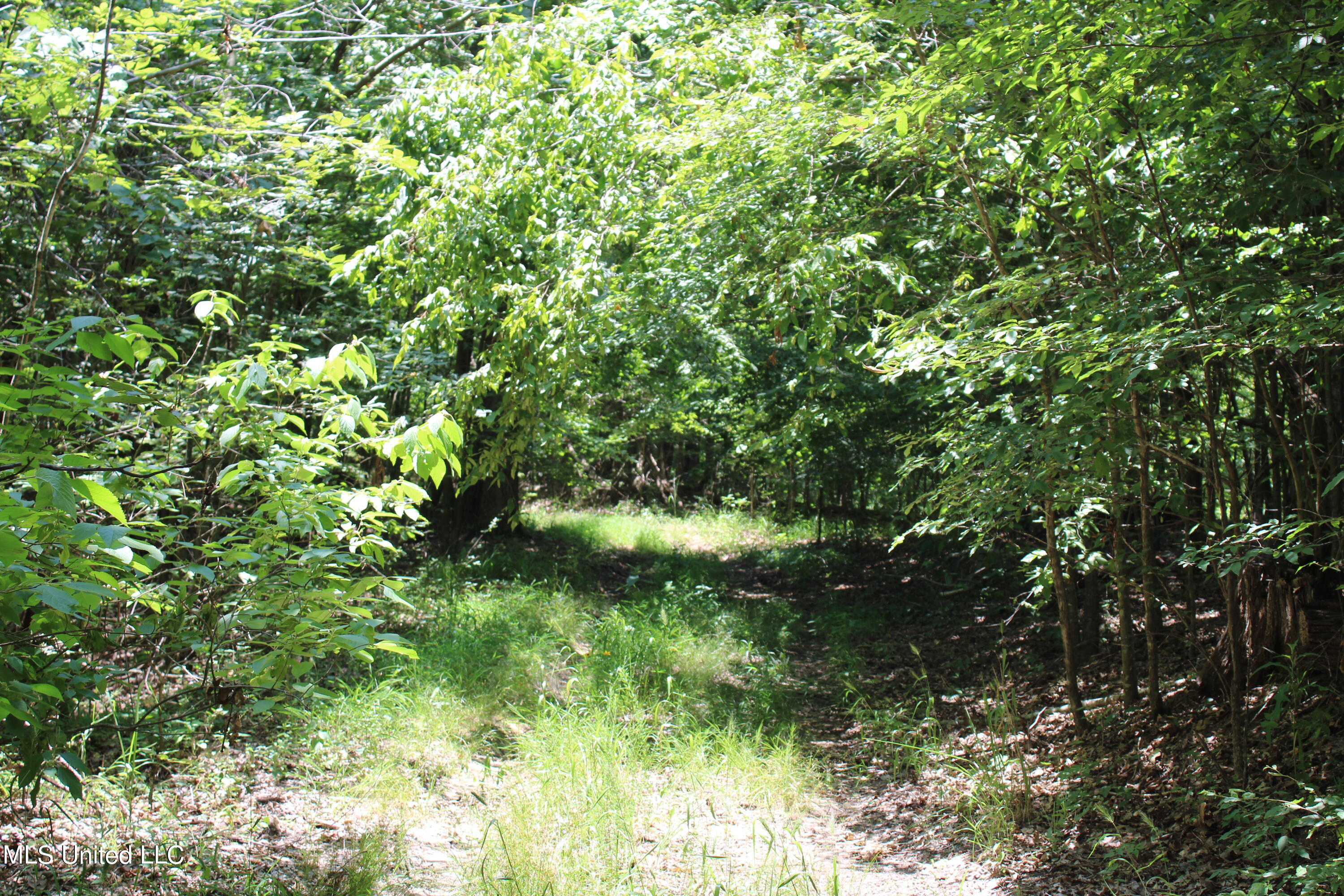 760 Old Hwy Road Crenshaw, MS 38621 - Photo 35 of 57 IMG_1527