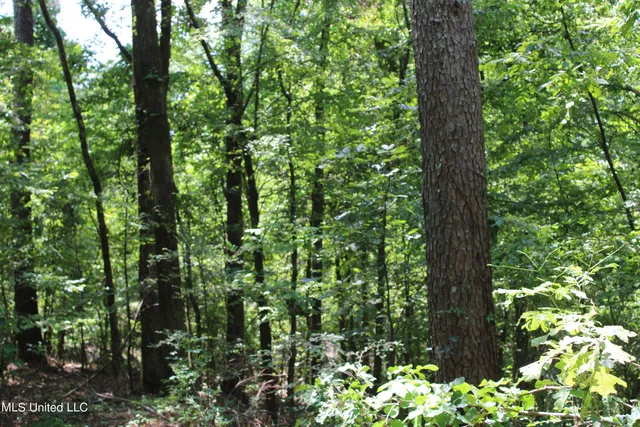 $699,000 | 760 Old Hwy Road, Crenshaw, MS 38621