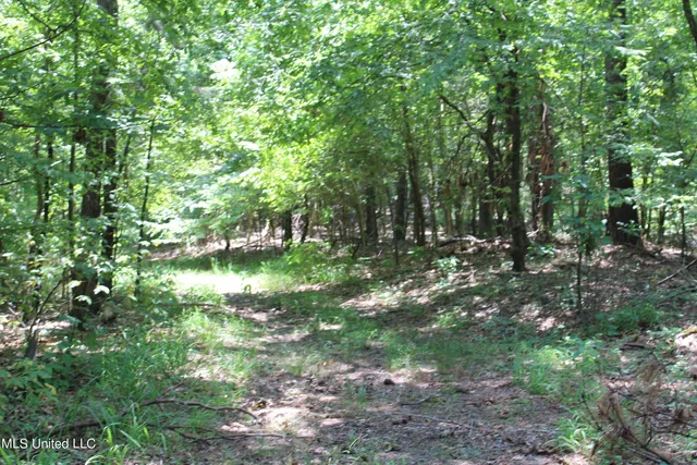 $699,000 | 760 Old Hwy Road, Crenshaw, MS 38621