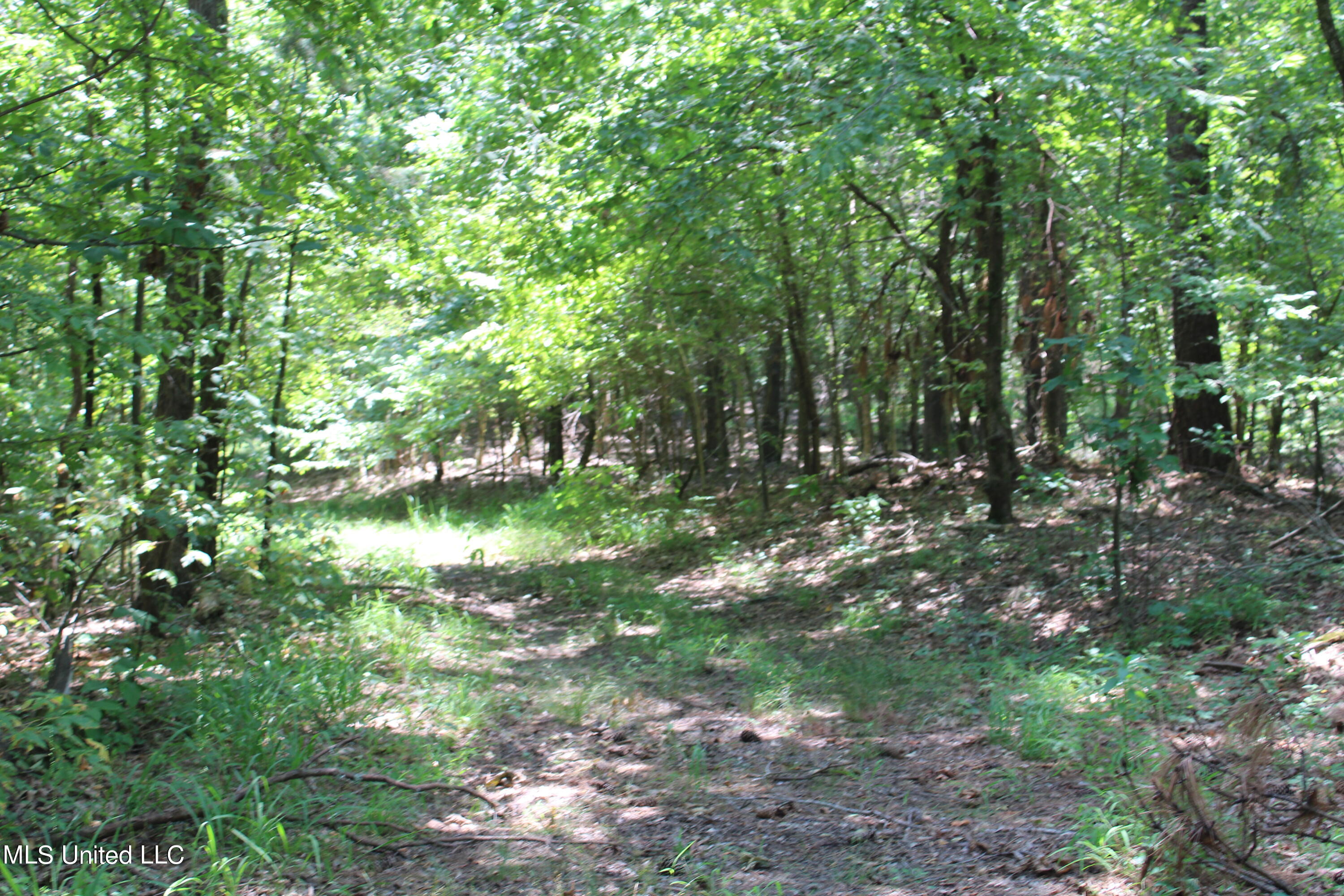 760 Old Hwy Road Crenshaw, MS 38621 - Photo 37 of 57 IMG_1529